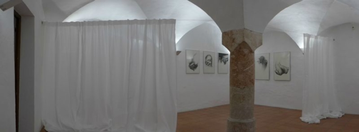 Museum Rabalderhaus Schwaz, Verschub, 2016 (1)